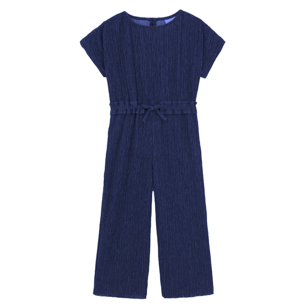 Zara Navy Blue Pleated Jumpsuit